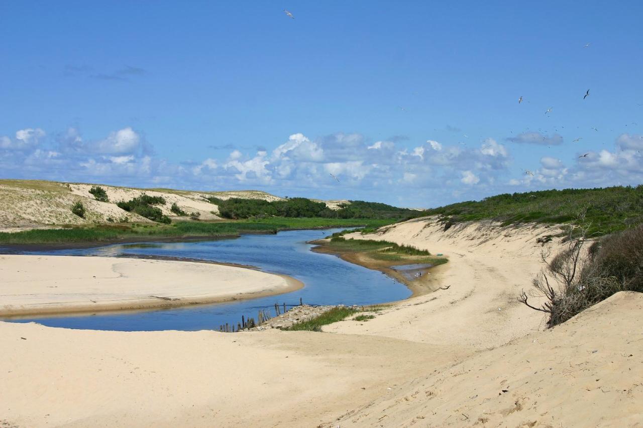 Le Hameau Des Vagues 4-5 Pers Piscines Et Nature A Moliets 외부 사진